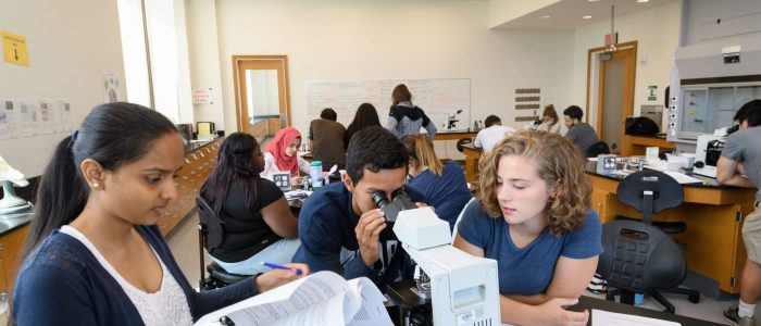 Students in the lab